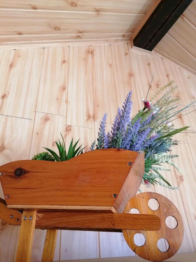 Cozy Attic Studio Брашов Екстериор снимка