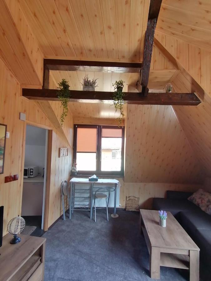 Cozy Attic Studio Брашов Екстериор снимка