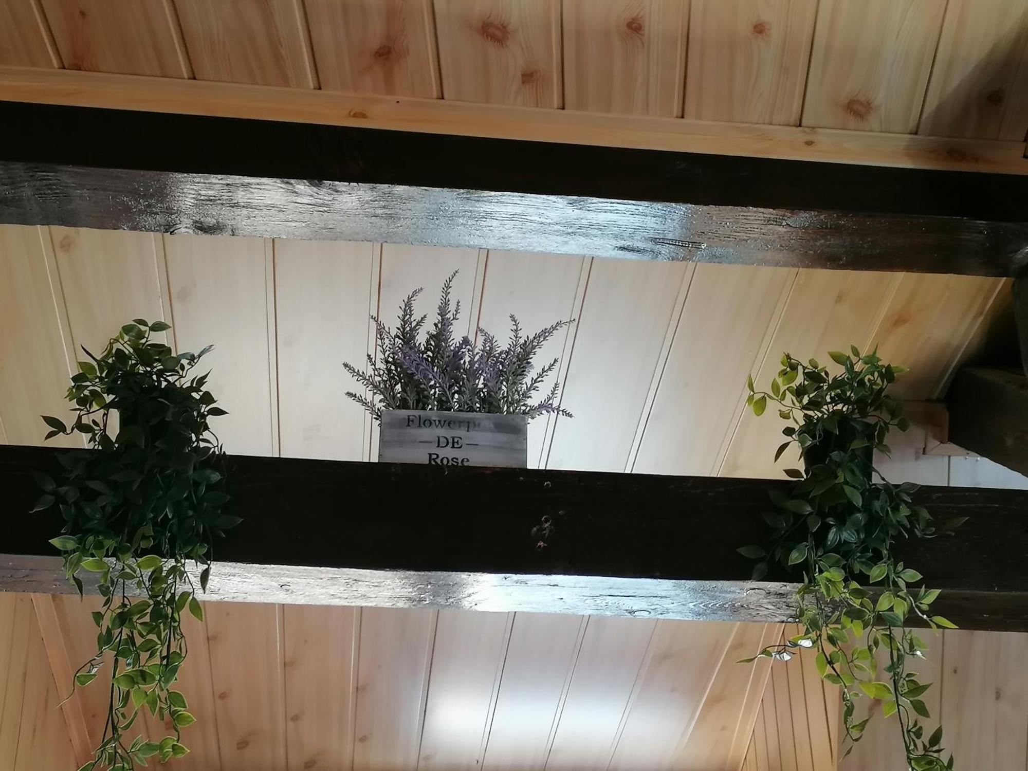 Cozy Attic Studio Брашов Екстериор снимка